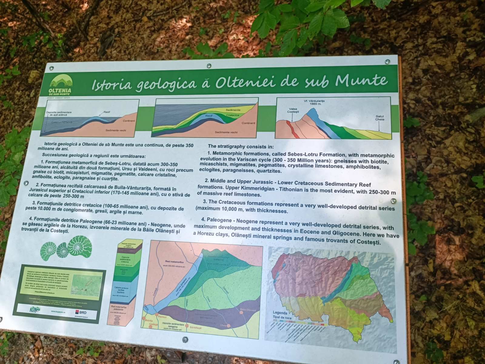 Panou despre istoria geologică a Olteniei de sub Munte